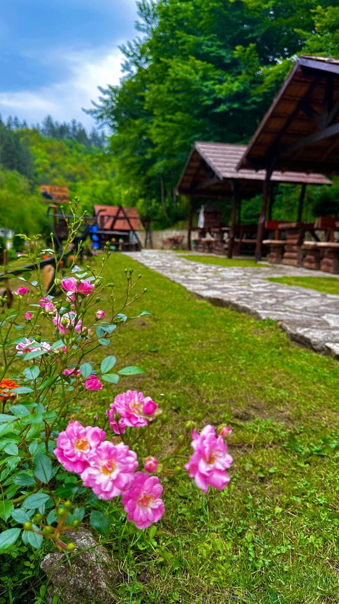 Motel Stovrela Cazin Bagian luar foto